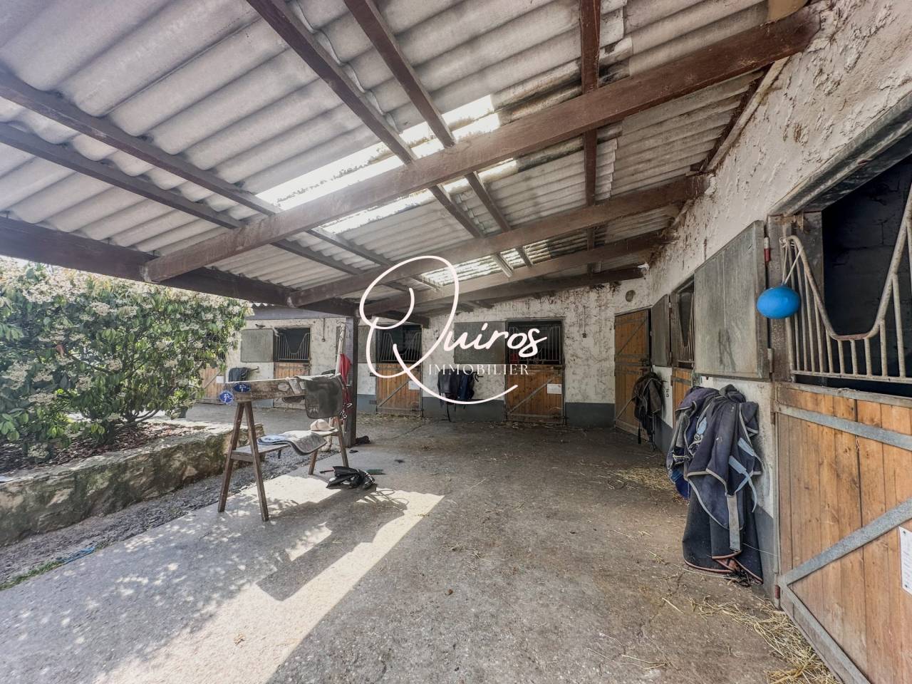 Hippisch vastgoed Koop Yvelines