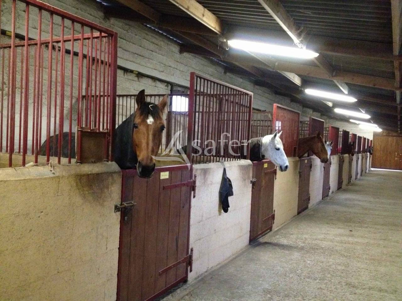Landbouw bedrijf Koop Essonne