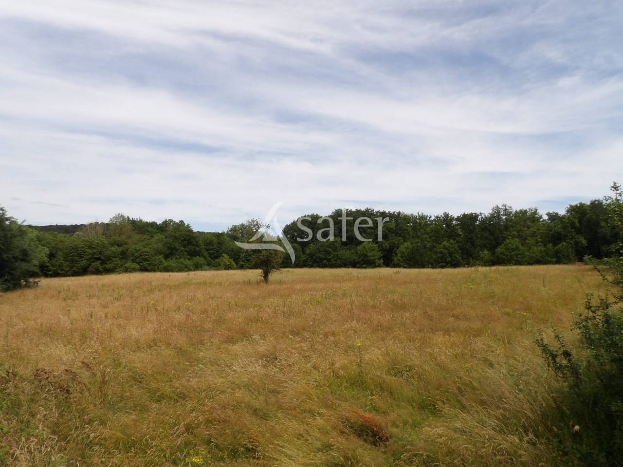 Landbouw bedrijf Koop Essonne