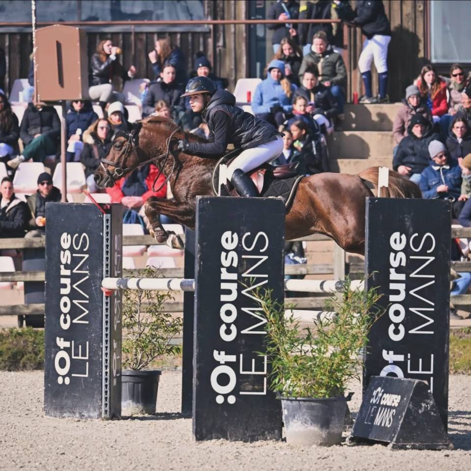 Dekhengst Franse rijpony PFS Te koop 2013 Lichte manen en staart ,  ulk d'été