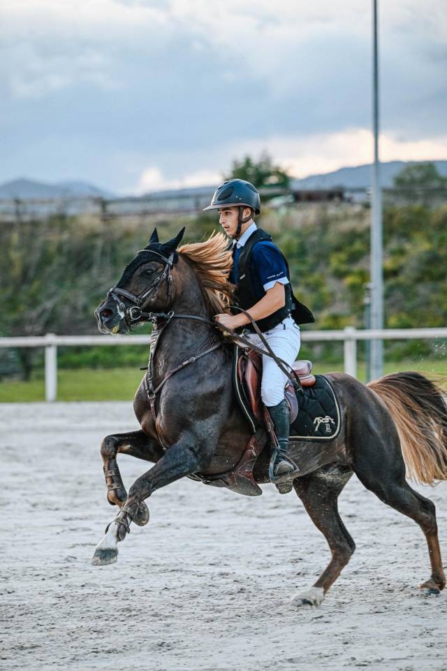 Dekhengst Franse rijpony PFS Te koop 2013 Lichte manen en staart ,  ulk d'été