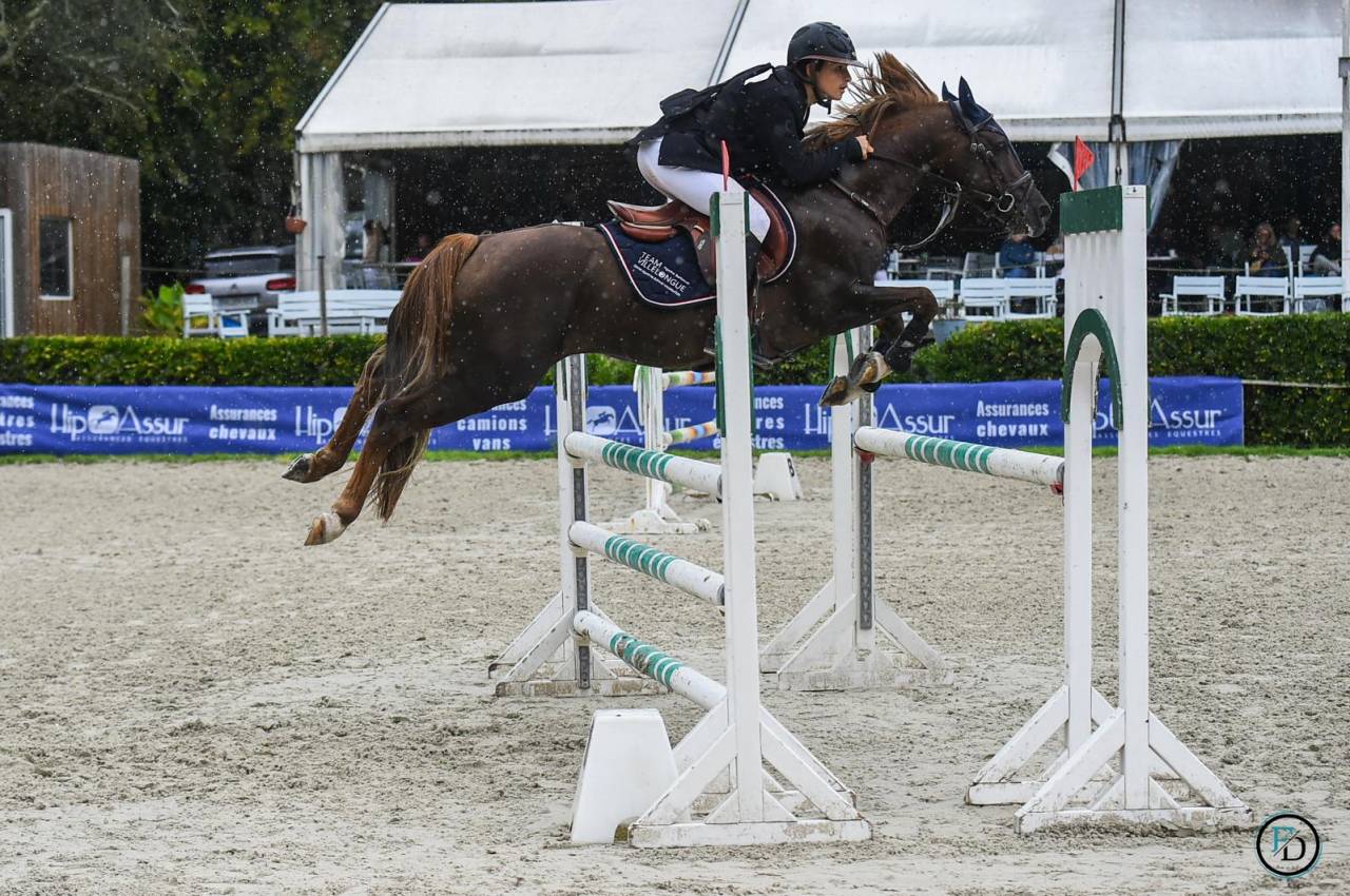 Dekhengst Franse rijpony PFS Te koop 2013 Lichte manen en staart ,  ulk d'été