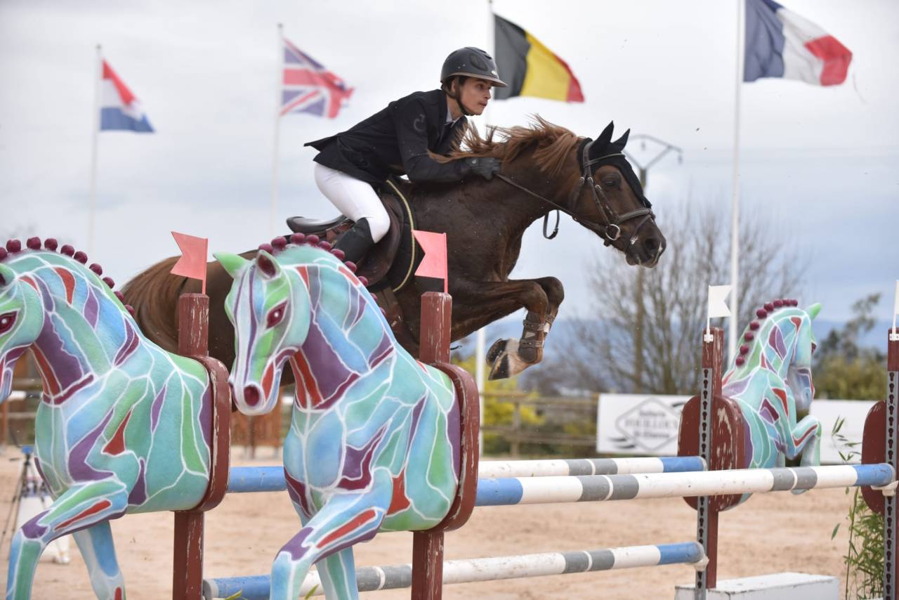 Dekhengst Franse rijpony PFS Te koop 2013 Lichte manen en staart ,  ulk d'été