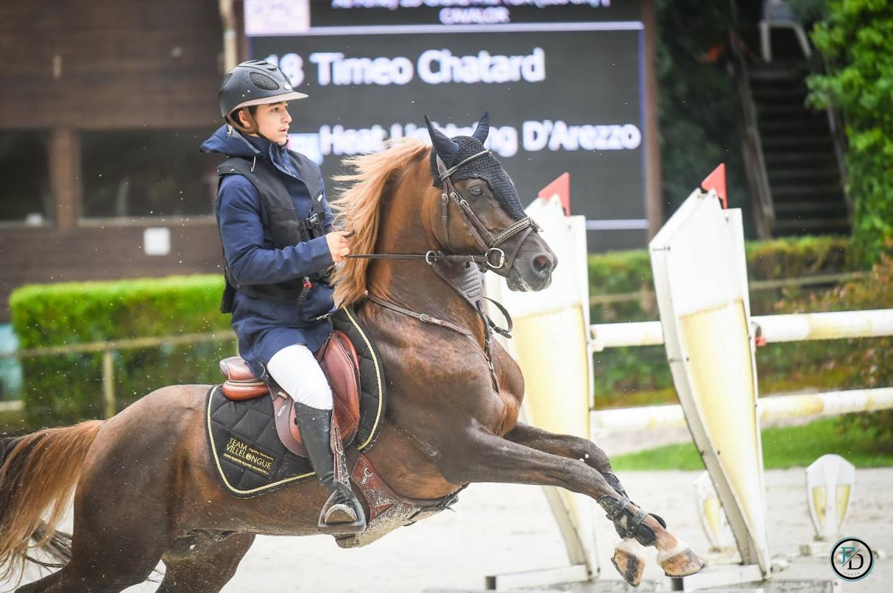 Dekhengst Franse rijpony PFS Te koop 2013 Lichte manen en staart ,  ulk d'été