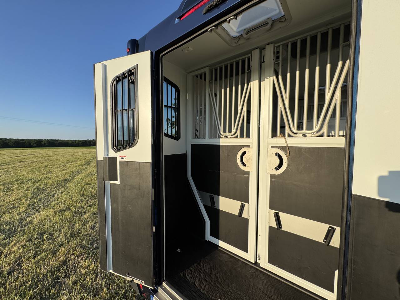 Kleine paardenvrachtwagen (B rijbewijs) Theault Proteo Switch 5 places 2020 Tweedehands