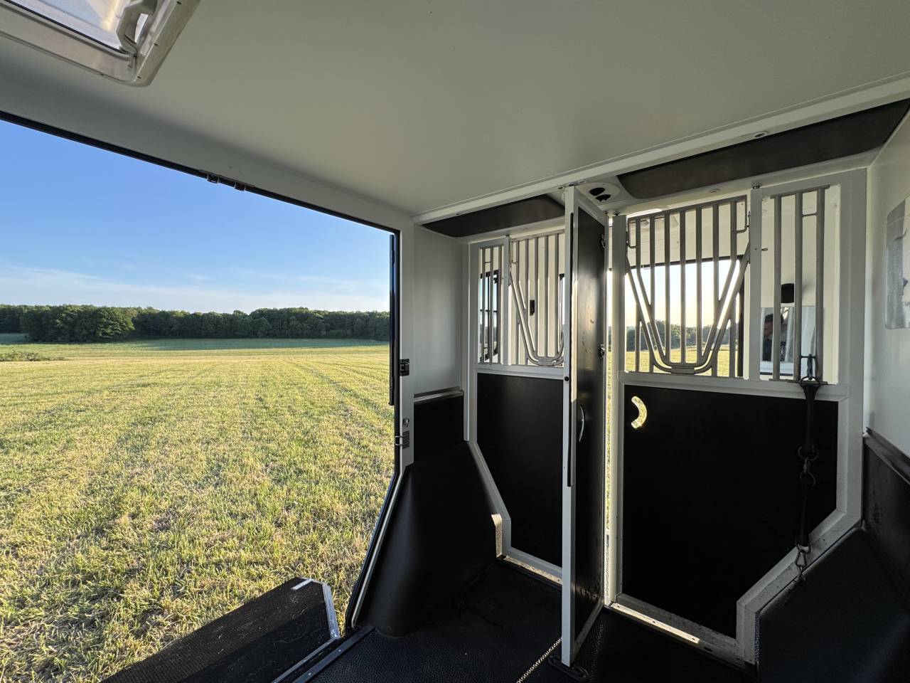 Kleine paardenvrachtwagen (B rijbewijs) Theault Proteo Switch 5 places 2020 Tweedehands