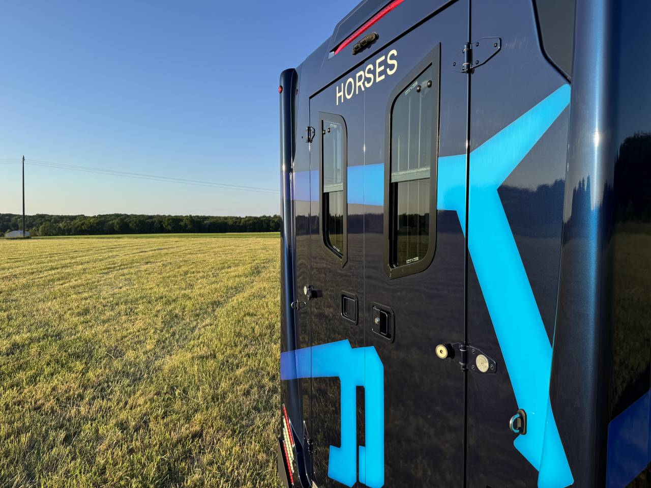 Kleine paardenvrachtwagen (B rijbewijs) Theault Proteo Switch 5 places 2020 Tweedehands