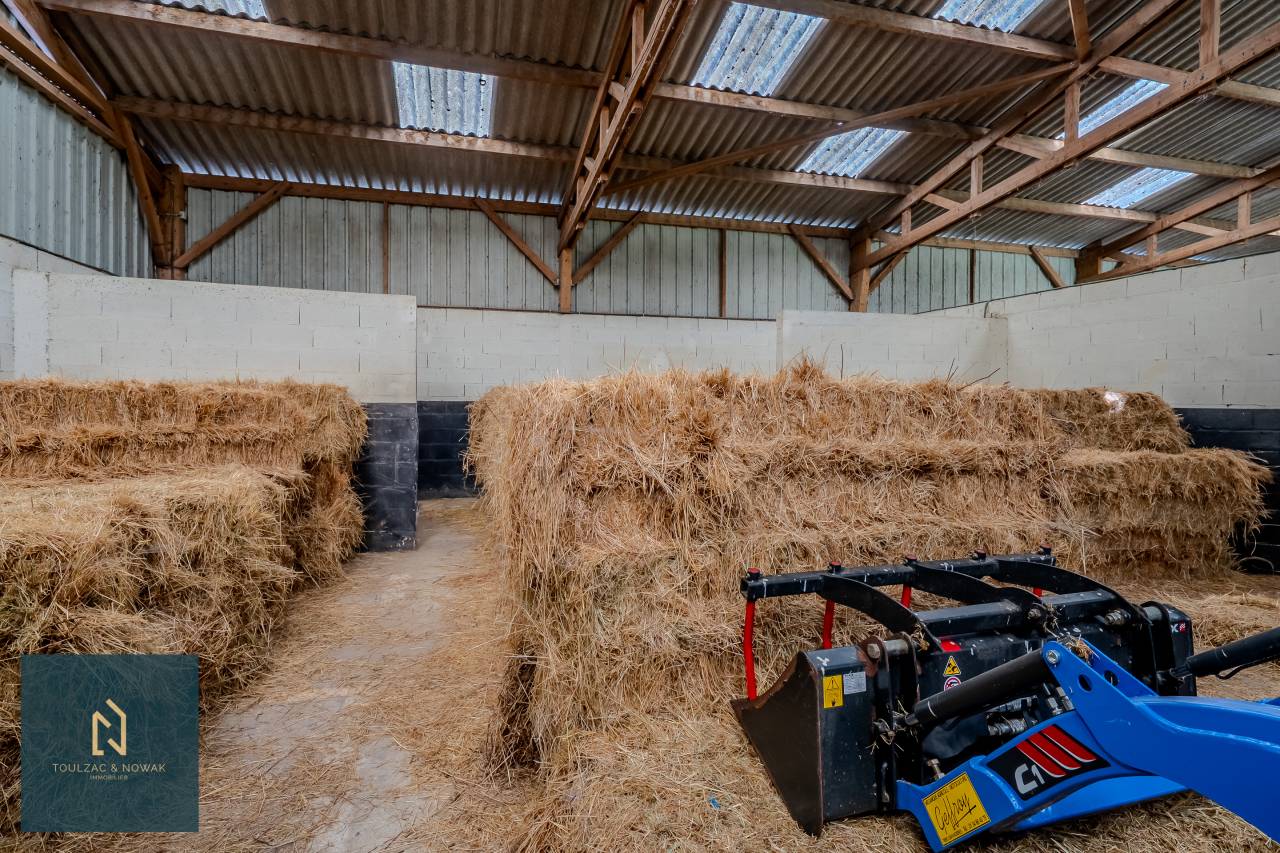 Hippisch vastgoed Koop Yvelines