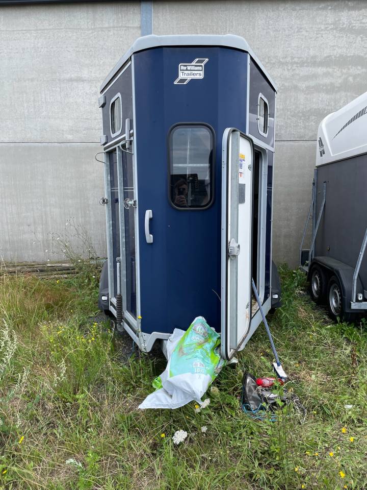 Paardentrailers Ifor Williams HB 506 2 Paarden 2017 Tweedehands