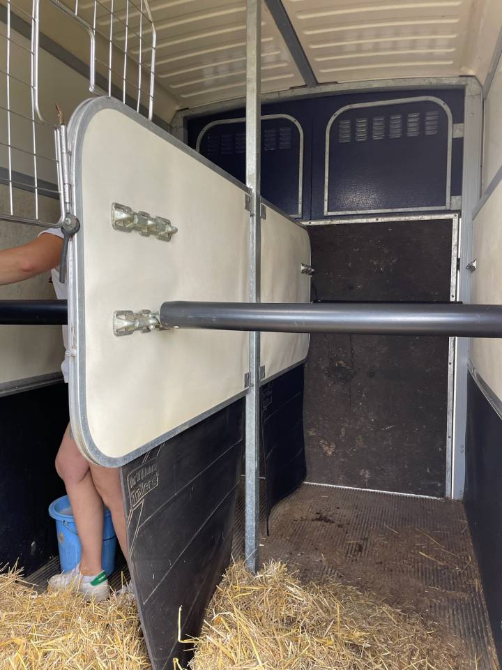 Paardentrailers Ifor Williams HB 506 2 Paarden 2017 Tweedehands