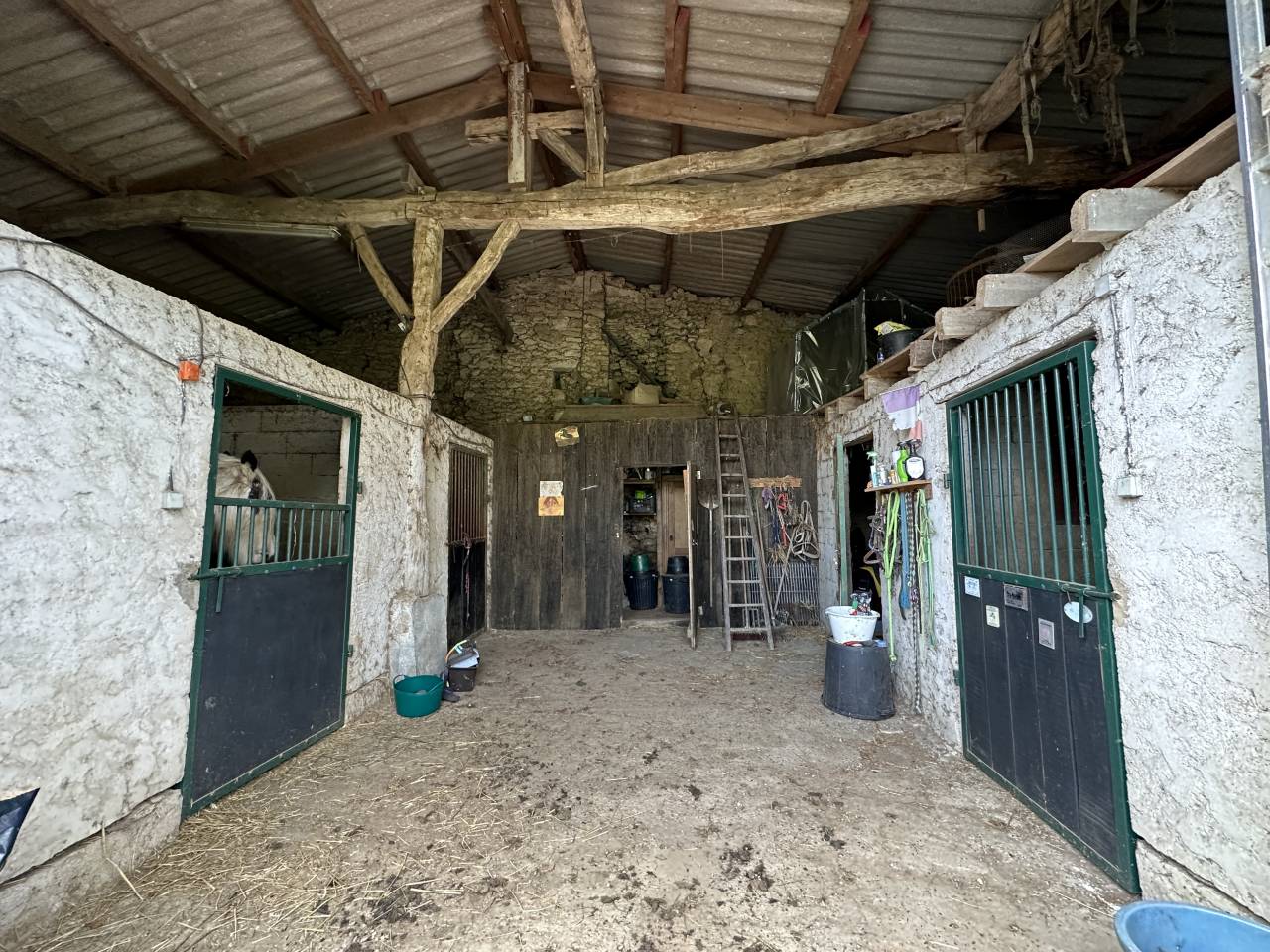 Hippisch vastgoed Koop Gironde