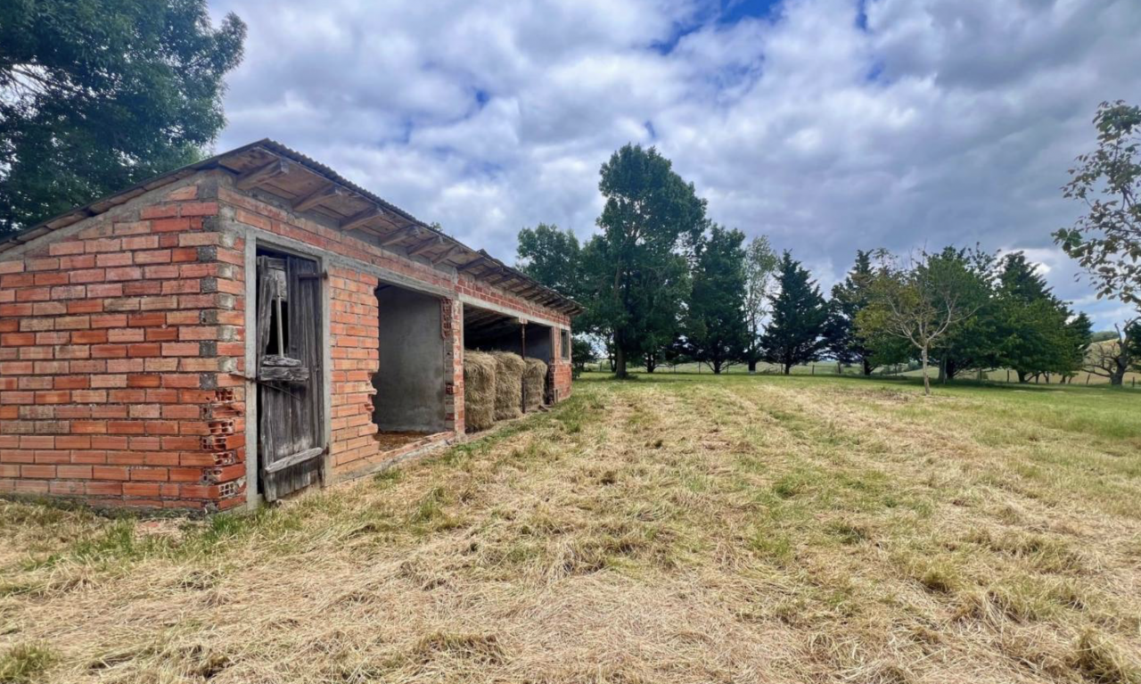 Ander plattelands vastgoed Koop Haute-Garonne