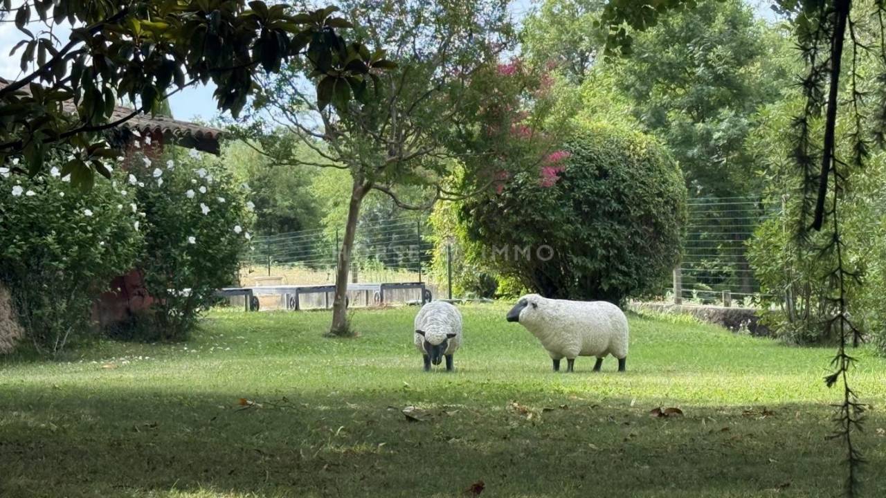 Hippisch vastgoed Koop Drôme