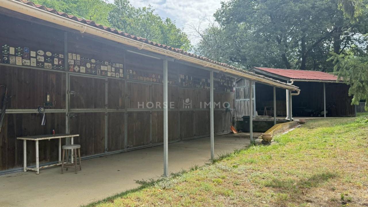 Hippisch vastgoed Koop Drôme