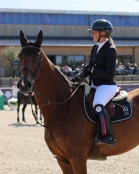 Ruin Selle Français Te koop 2014 Donker bruin / bai ,  BALOUBET DU ROUET