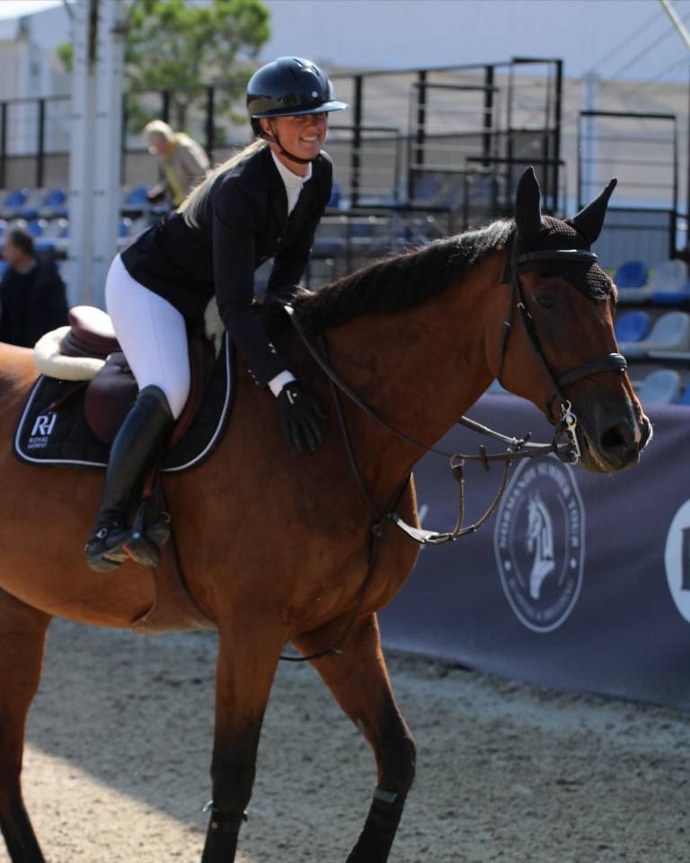 Ruin Selle Français Te koop 2014 Donker bruin / bai ,  BALOUBET DU ROUET