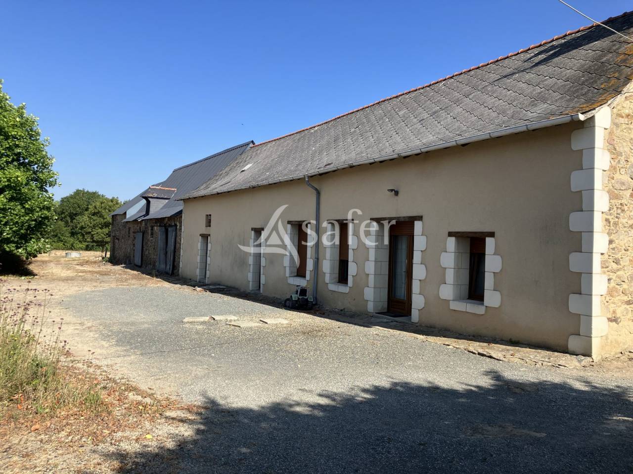 Landbouw bedrijf Koop Maine-et-Loire