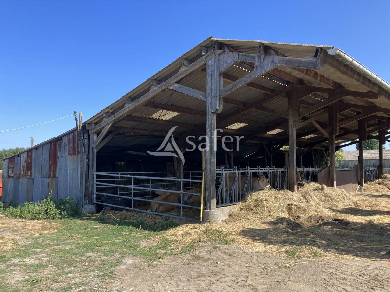 Landbouw bedrijf Koop Maine-et-Loire