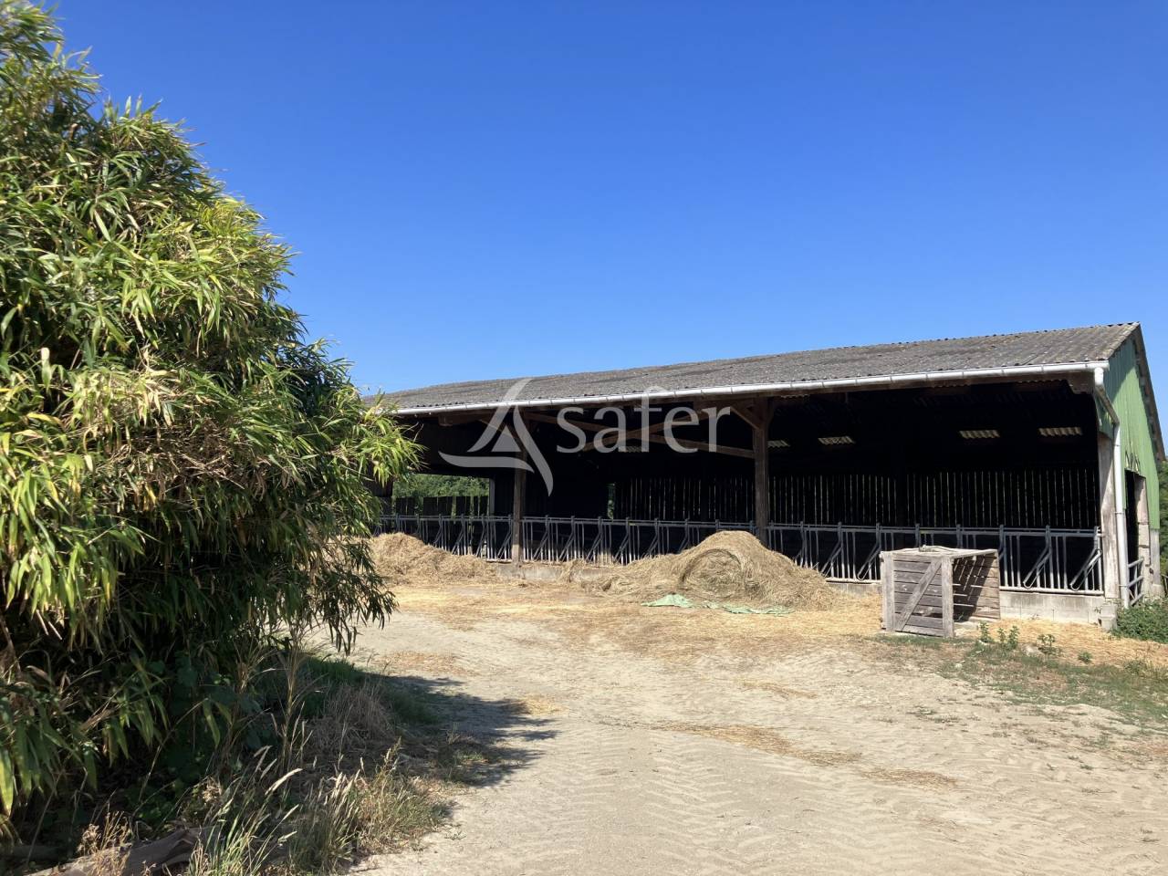 Landbouw bedrijf Koop Maine-et-Loire