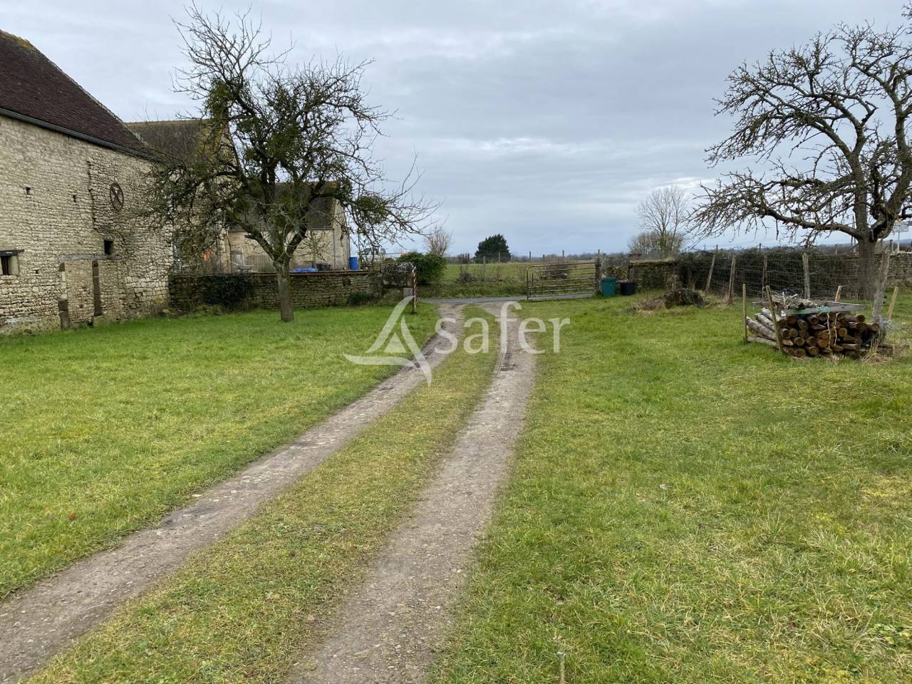 Bos exploitatie Koop Orne