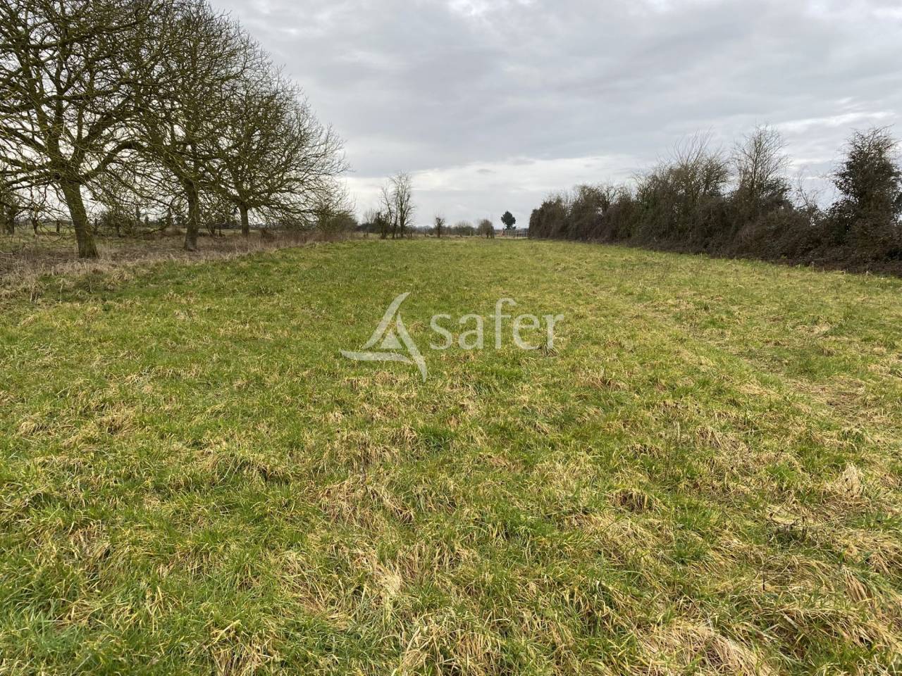 Bos exploitatie Koop Orne