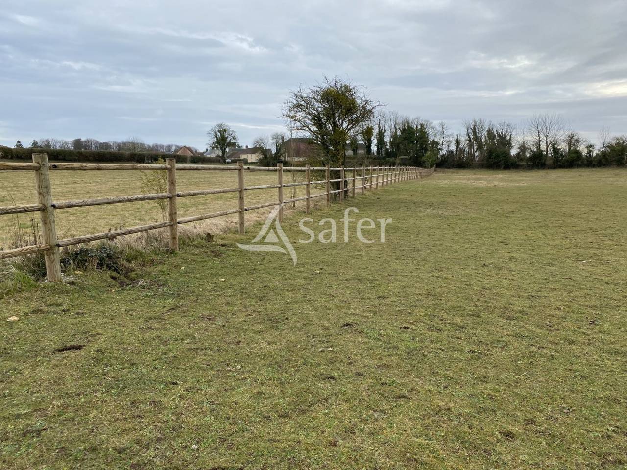 Bos exploitatie Koop Orne