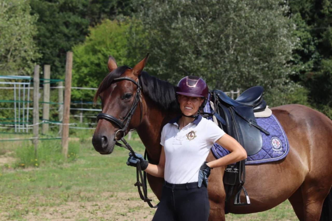 Merrie Selle Français Te koop 2020 Donker bruin / bai ,  dexter du neuhof (oes)