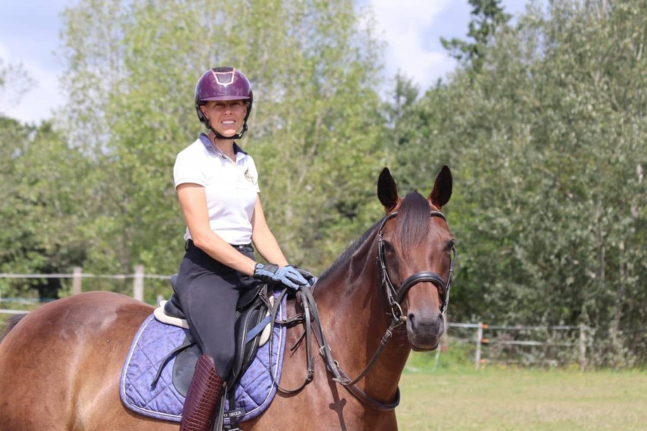 Merrie Selle Français Te koop 2020 Donker bruin / bai ,  dexter du neuhof (oes)