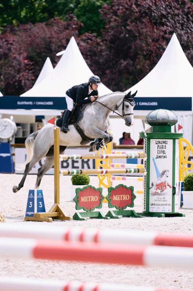 Merrie Selle Français Te koop 2018 Schimmel