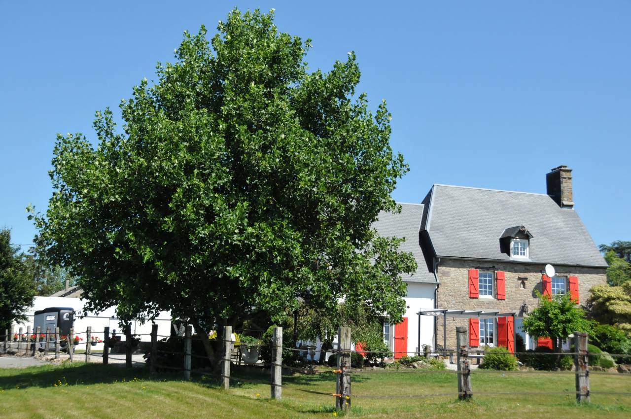 Mooi hippisch vastgoed Koop Calvados