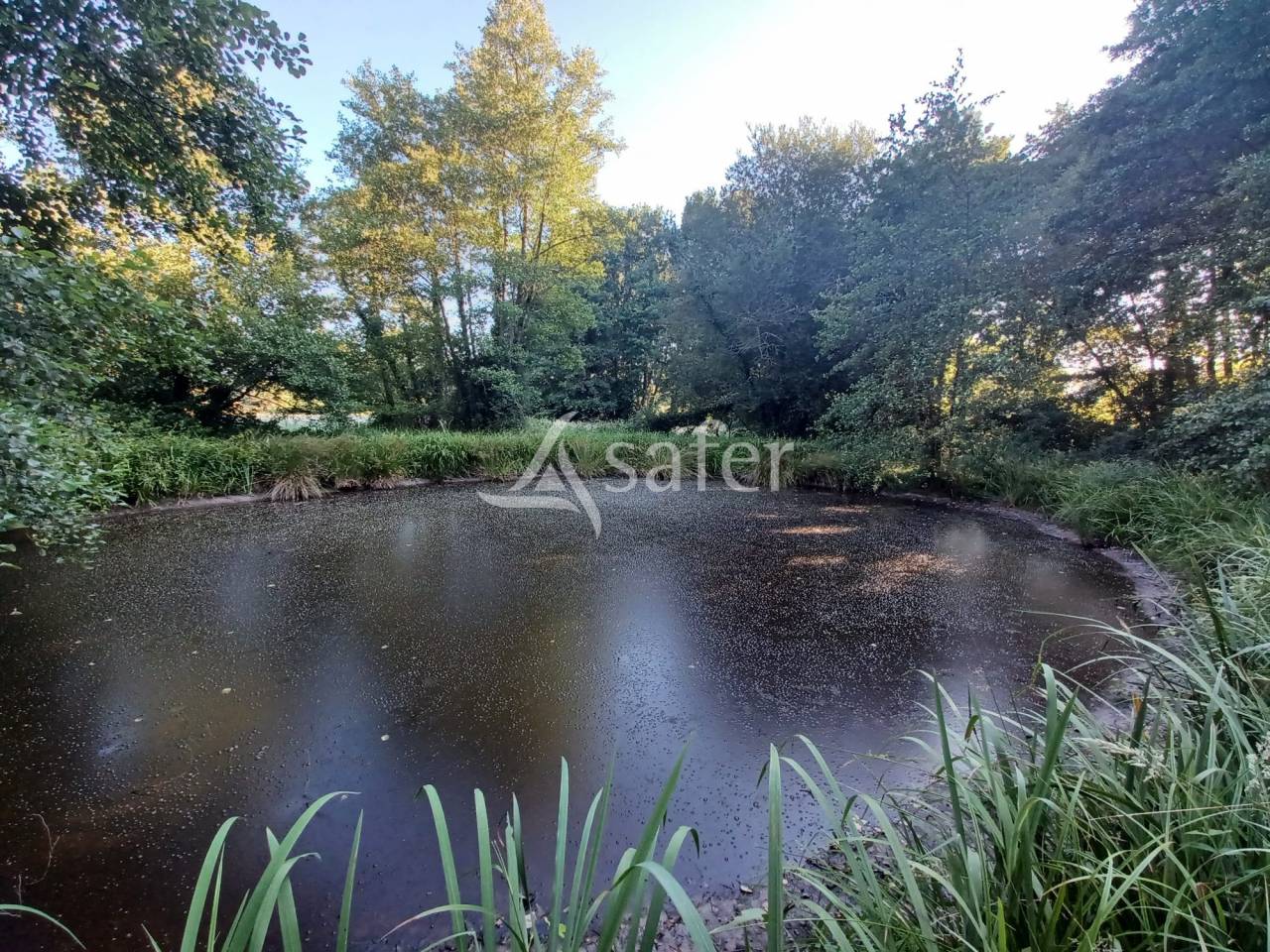 Hippisch vastgoed Koop Landes