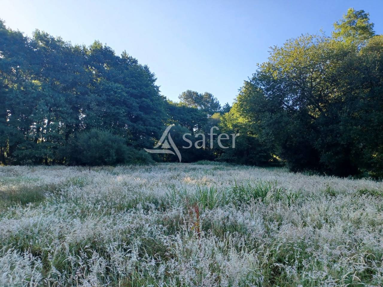 Hippisch vastgoed Koop Landes