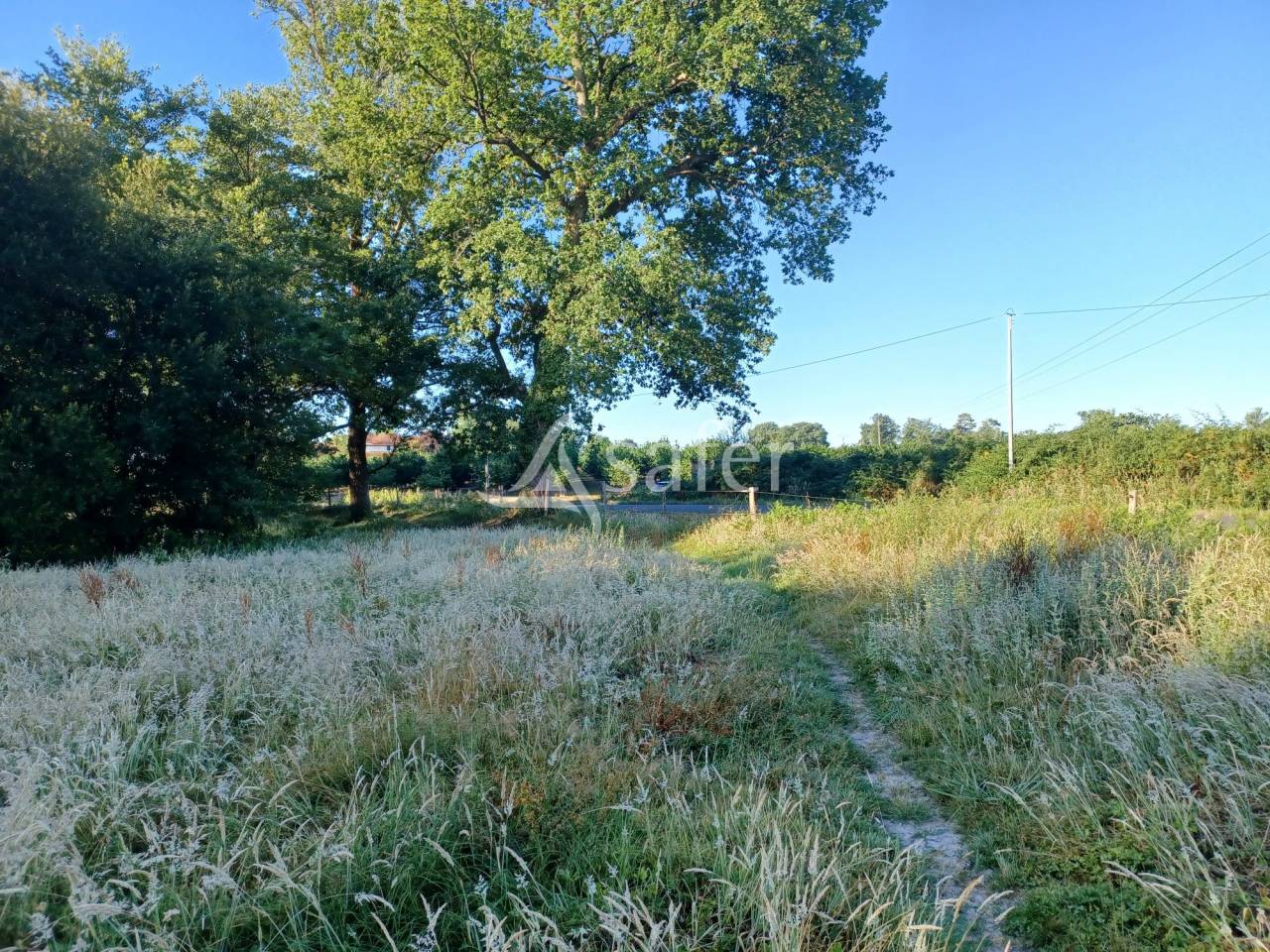 Hippisch vastgoed Koop Landes