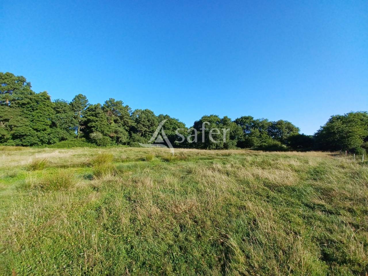Hippisch vastgoed Koop Landes