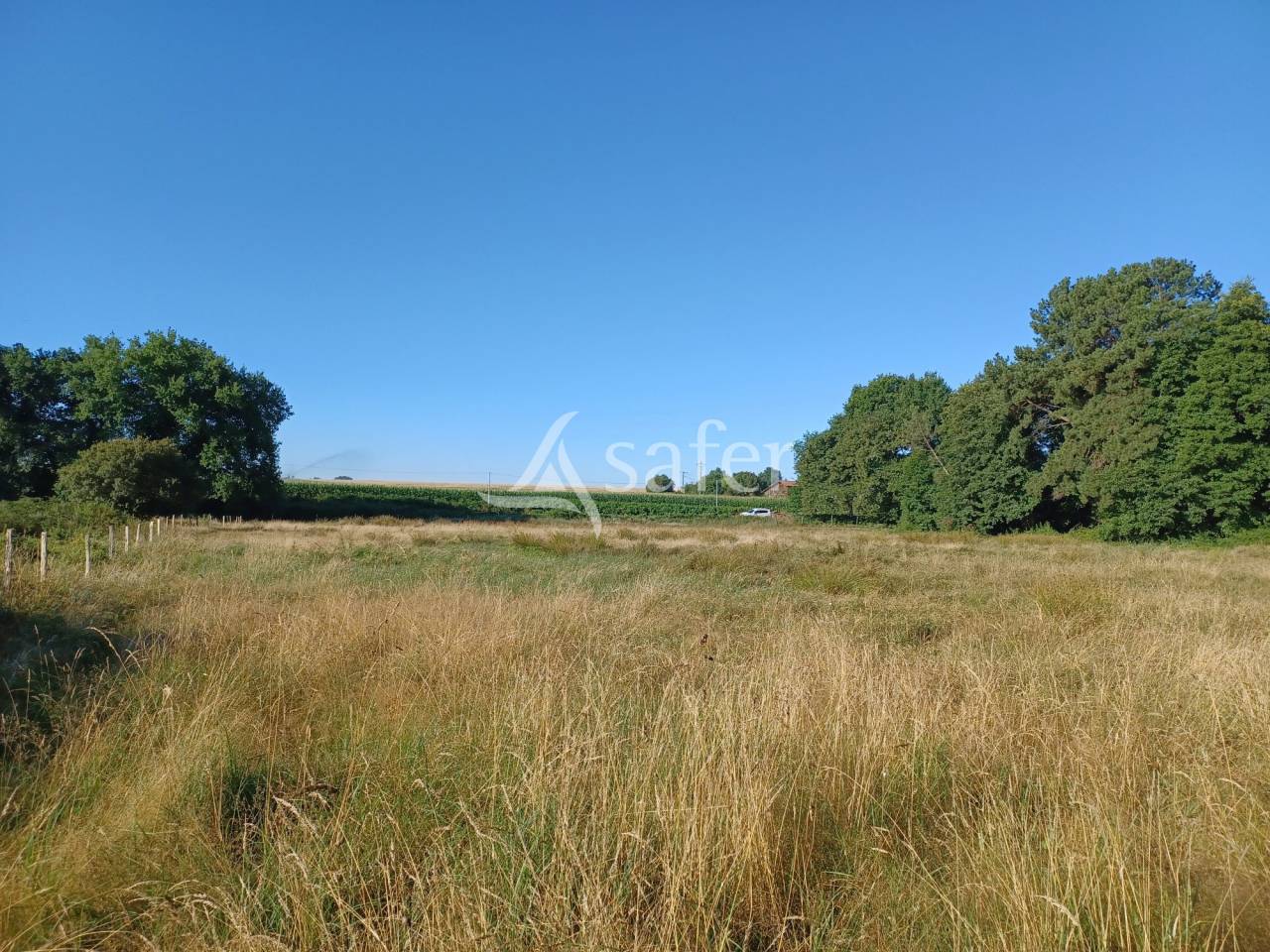 Hippisch vastgoed Koop Landes