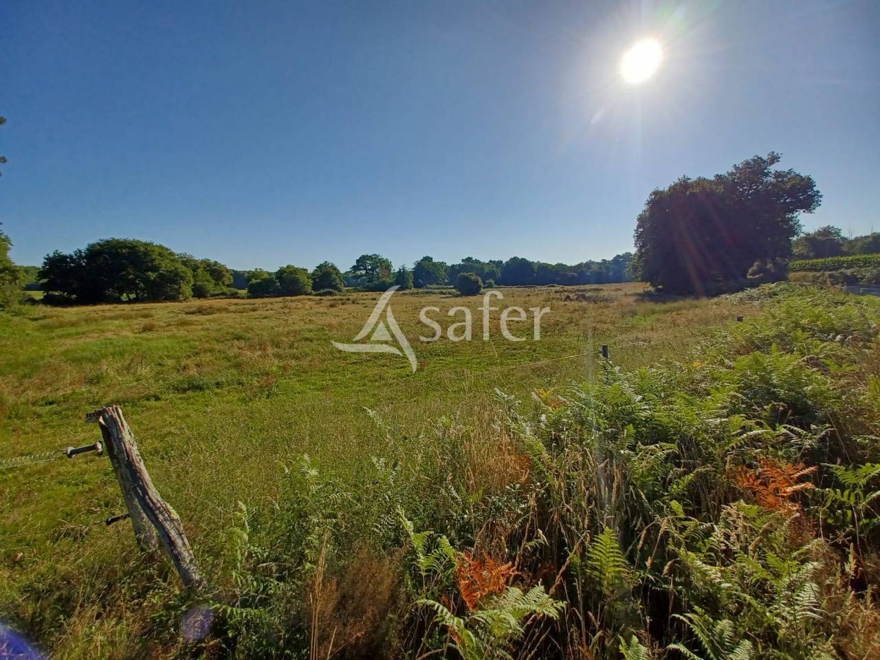 Hippisch vastgoed Koop Landes