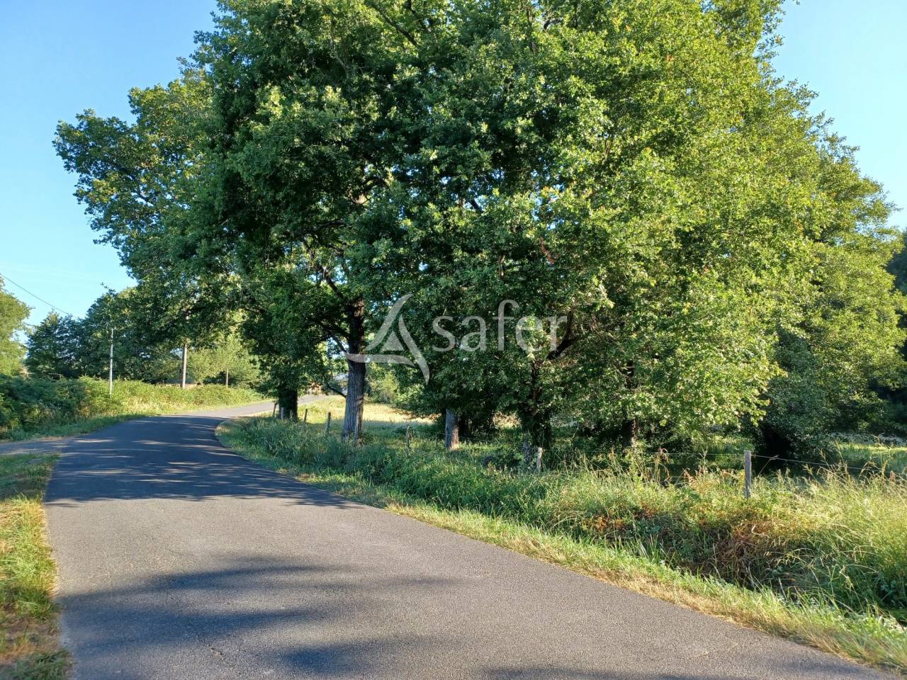 Hippisch vastgoed Koop Landes