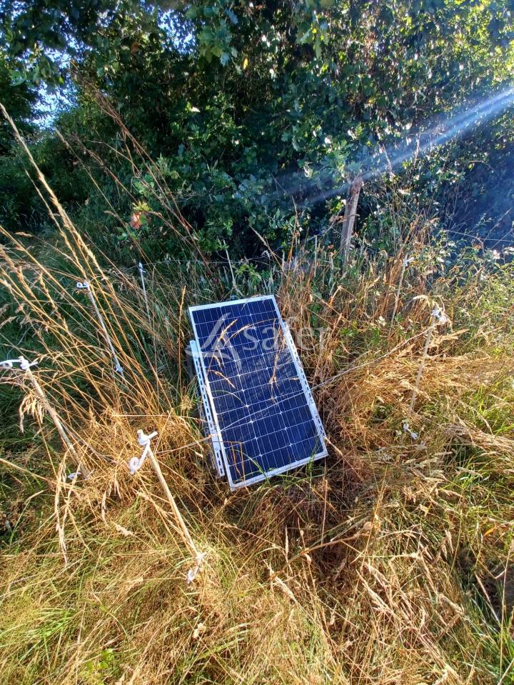 Hippisch vastgoed Koop Landes
