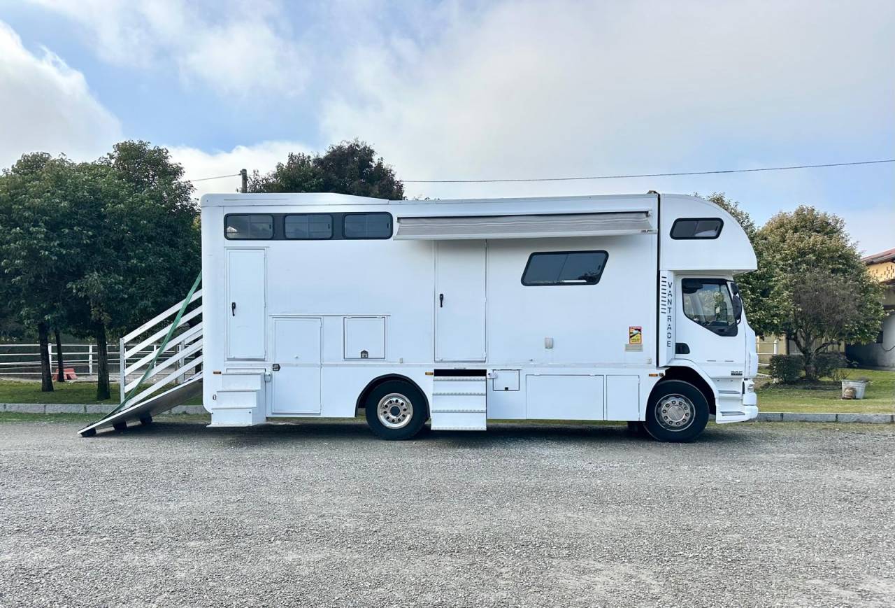 Zware paardenvrachtwagen (groot rijbewijs) Daf pop out  2003 Tweedehands