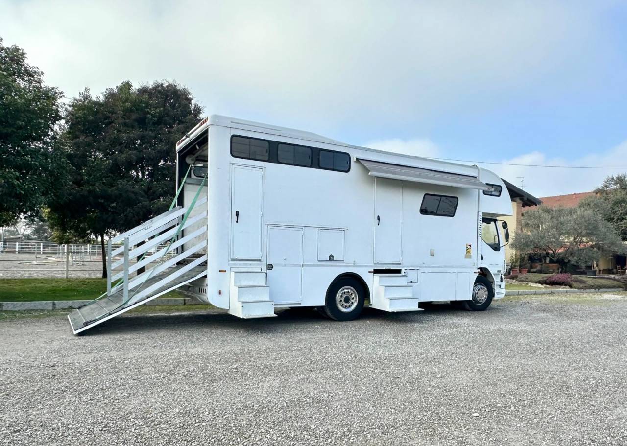 Zware paardenvrachtwagen (groot rijbewijs) Daf pop out  2003 Tweedehands
