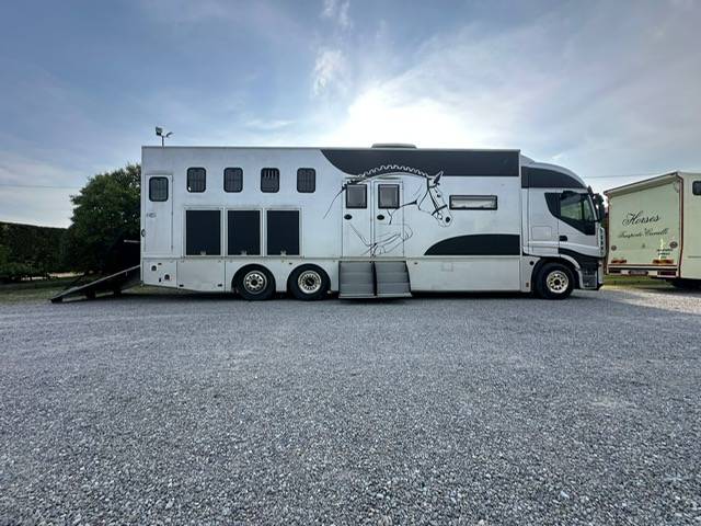 Zware paardenvrachtwagen (groot rijbewijs) Iveco pop et push out  2007 Tweedehands