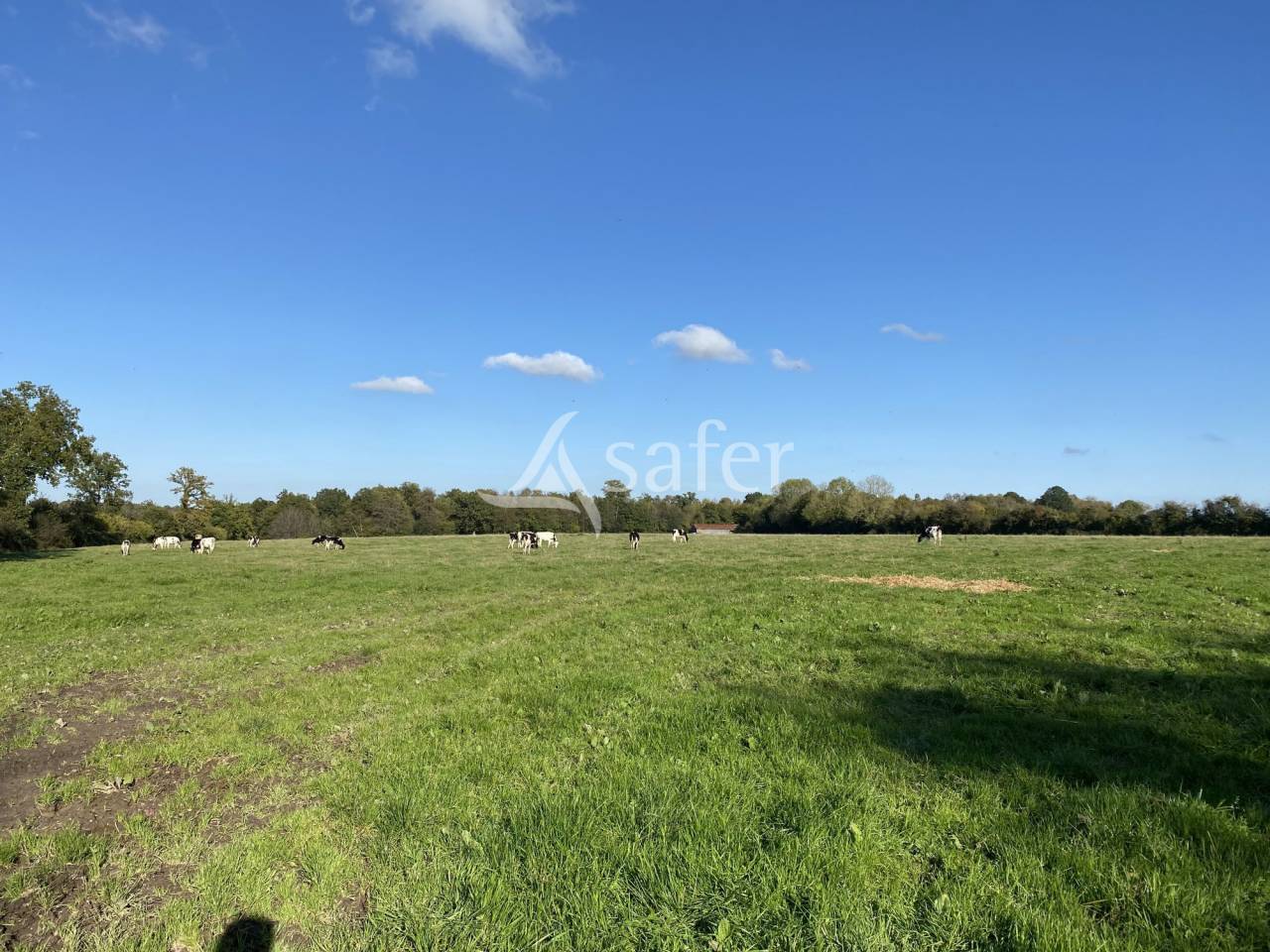 Landbouw bedrijf Koop Calvados