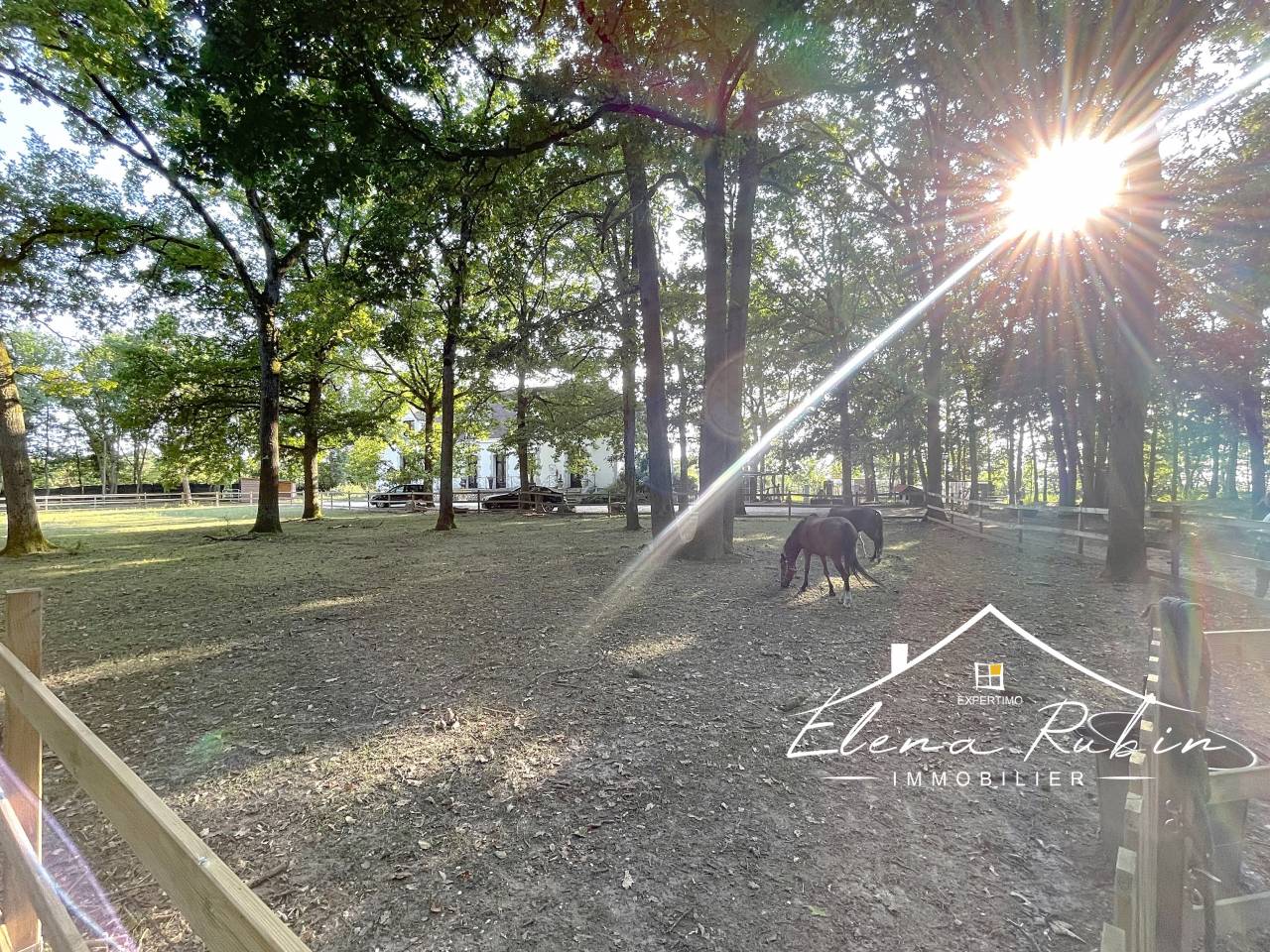 Mooi hippisch vastgoed Koop Essonne