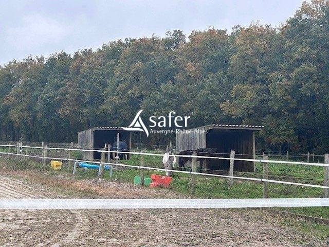 Hippisch vastgoed Koop Puy-de-Dôme