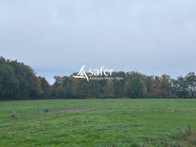 Hippisch vastgoed Koop Puy-de-Dôme