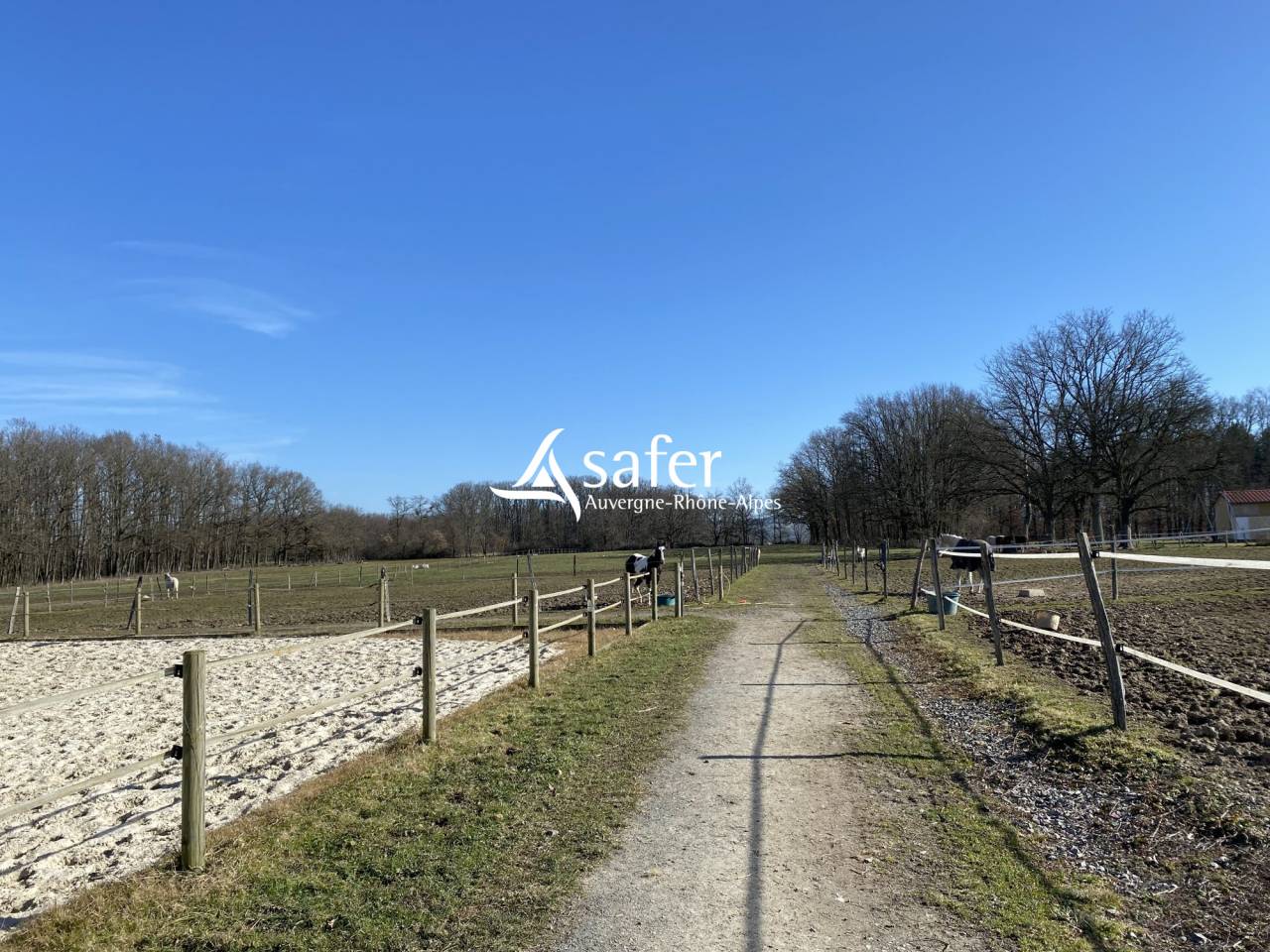 Hippisch vastgoed Koop Puy-de-Dôme