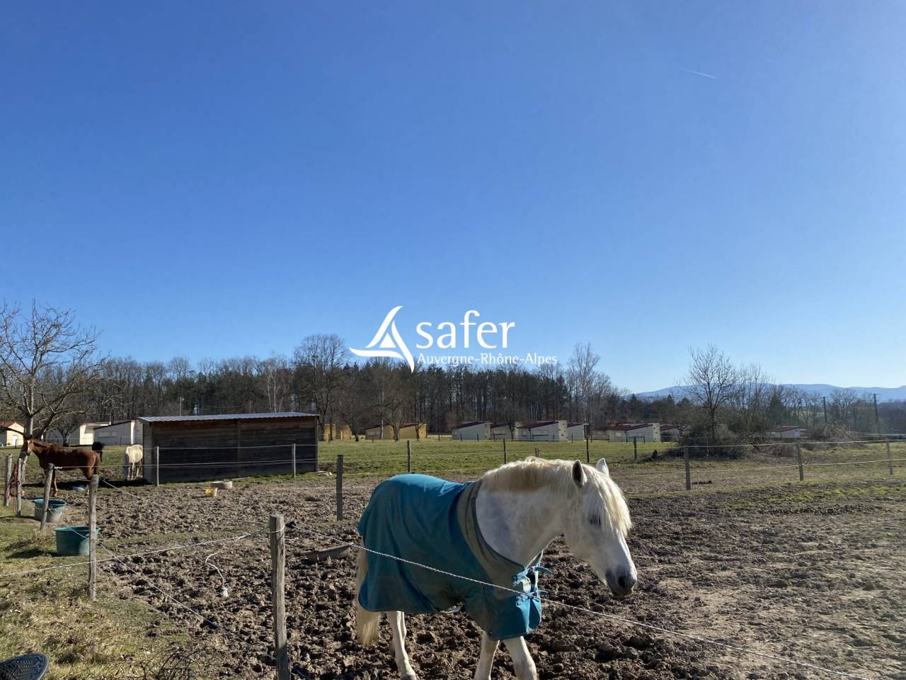 Hippisch vastgoed Koop Puy-de-Dôme