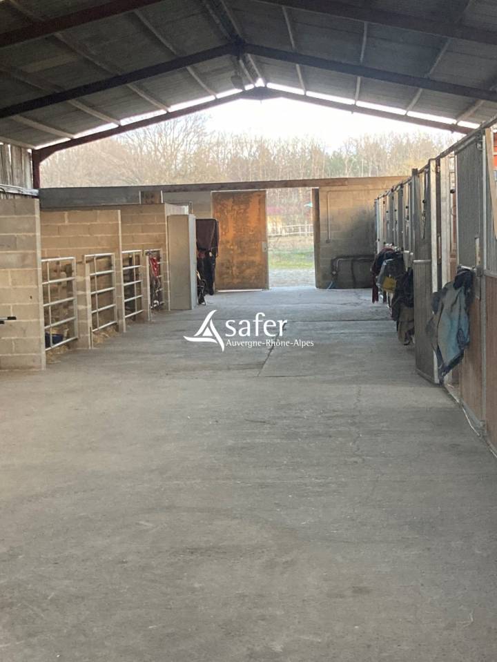 Hippisch vastgoed Koop Puy-de-Dôme