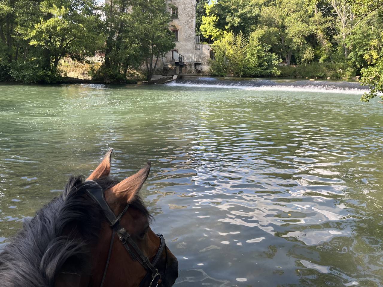 Hippisch vastgoed Koop Seine-et-Marne