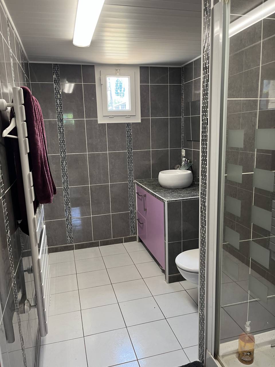 Hippisch vastgoed Koop Seine-et-Marne